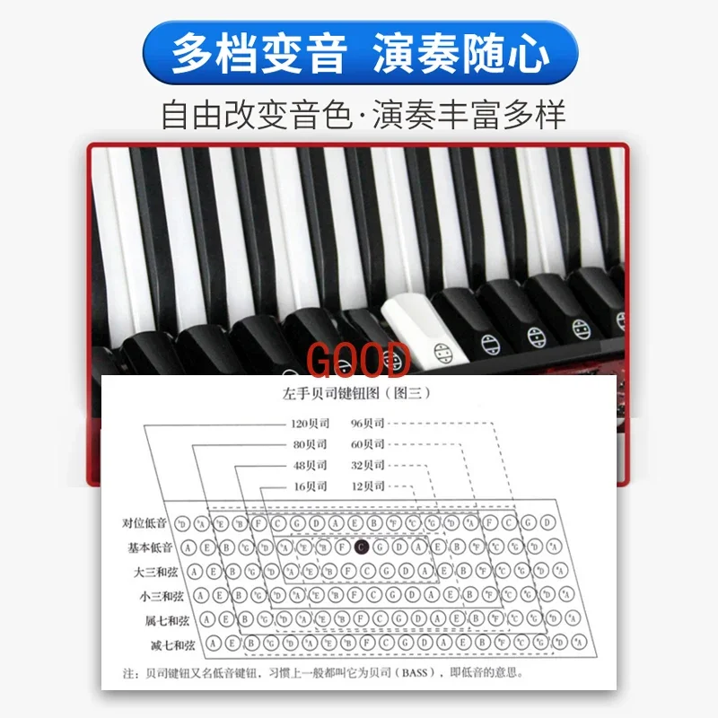 Parrot Brand Bayan Accordion M - Musical Instrument Brands 评论和价格