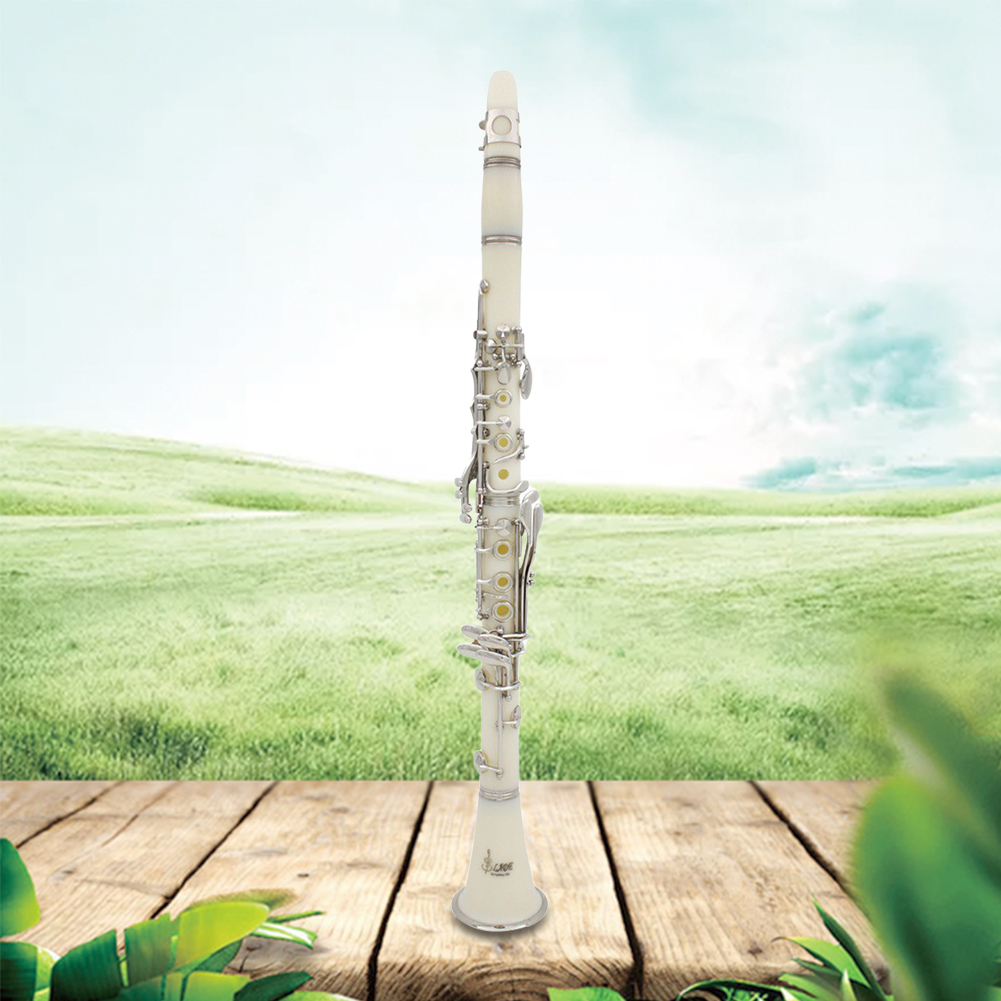 Bb Clarinet 17 Keys with Case  - Musical Instrument In Orchestra 评论和价格