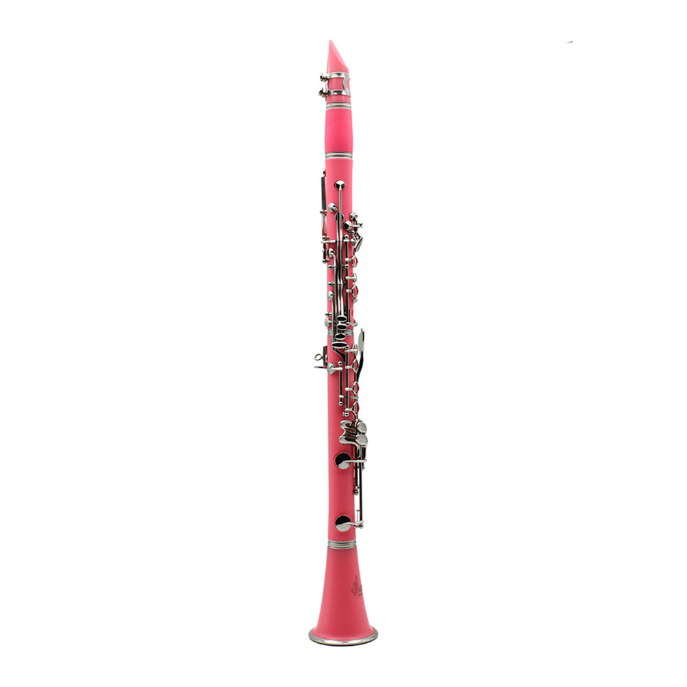 Bb Clarinet 17 Keys with Case  - Musical Instrument In Orchestra 评论和价格