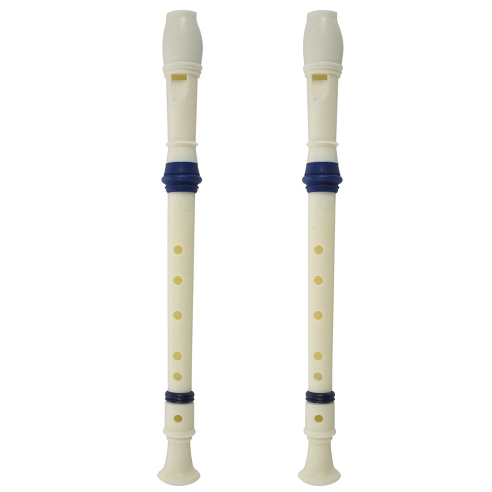 FSTE-2X Music Instrument 6 Hol - Musical Instrument Recorder 评论和价格