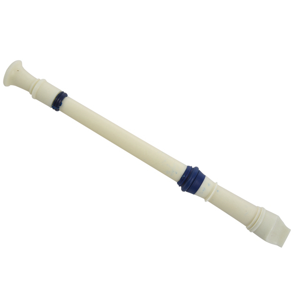 FSTE-2X Music Instrument 6 Hol - Musical Instrument Recorder 评论和价格