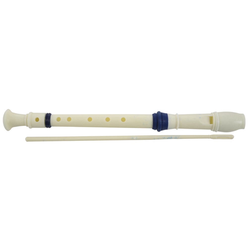 FSTE-2X Music Instrument 6 Hol - Musical Instrument Recorder 评论和价格