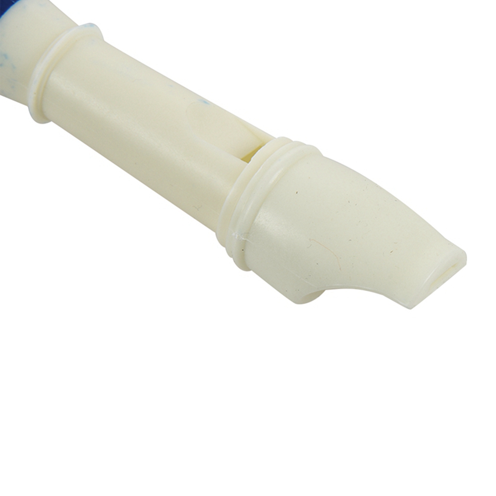 FSTE-2X Music Instrument 6 Hol - Musical Instrument Recorder 评论和价格