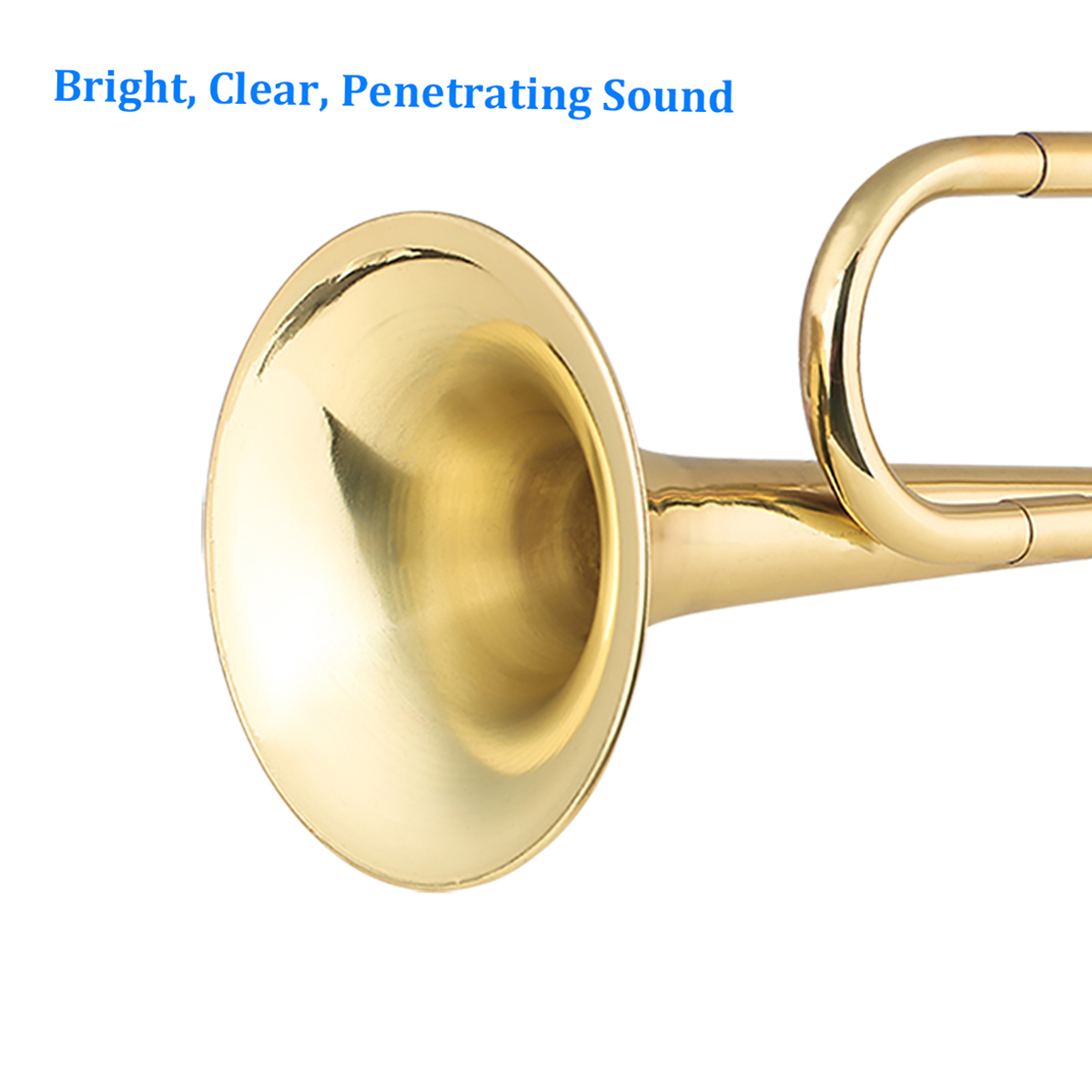 Brass C Bugle Call Gold-Plated - Musical Instrument Cornet 评论和价格