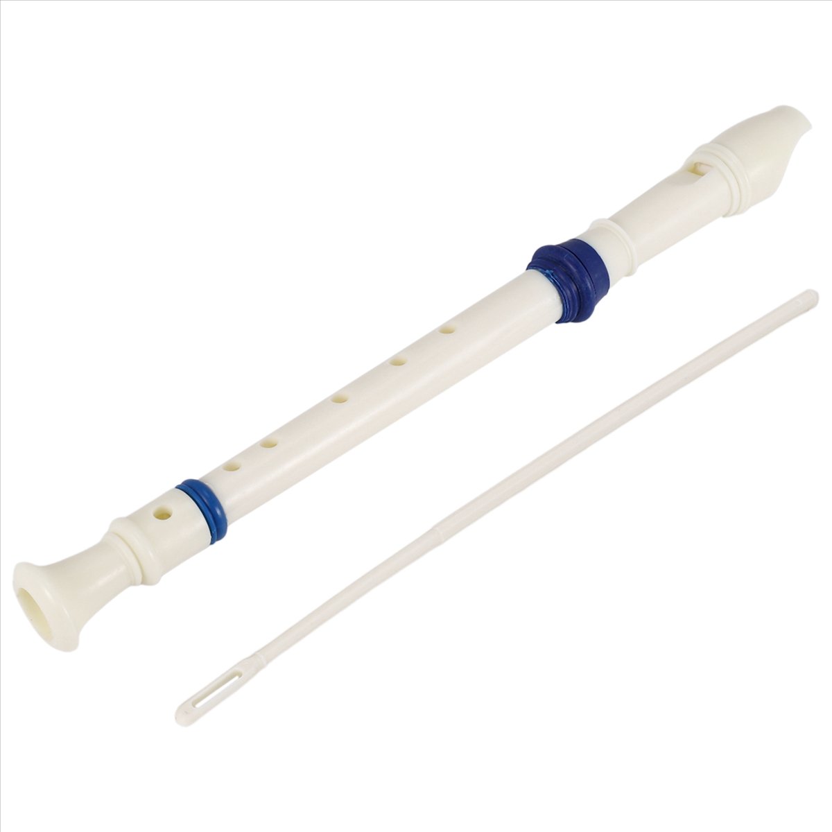 ABST Music Instrument 6 Holes  - Musical Instrument Recorder 评论和价格