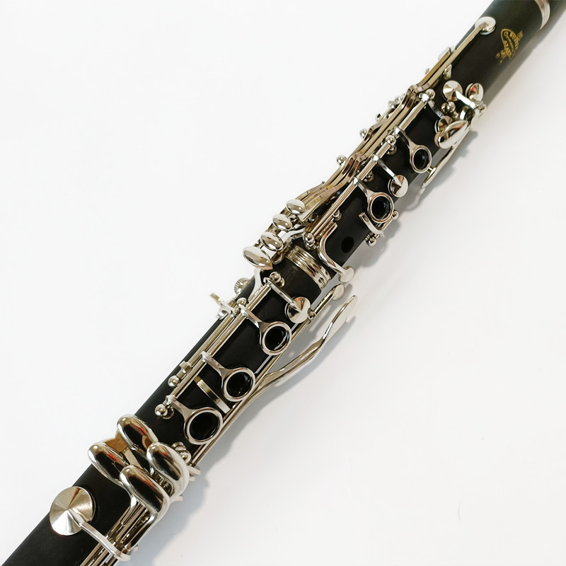 Brand Buffet Crampon Prodige B - Musical Instrument Brands 评论和价格