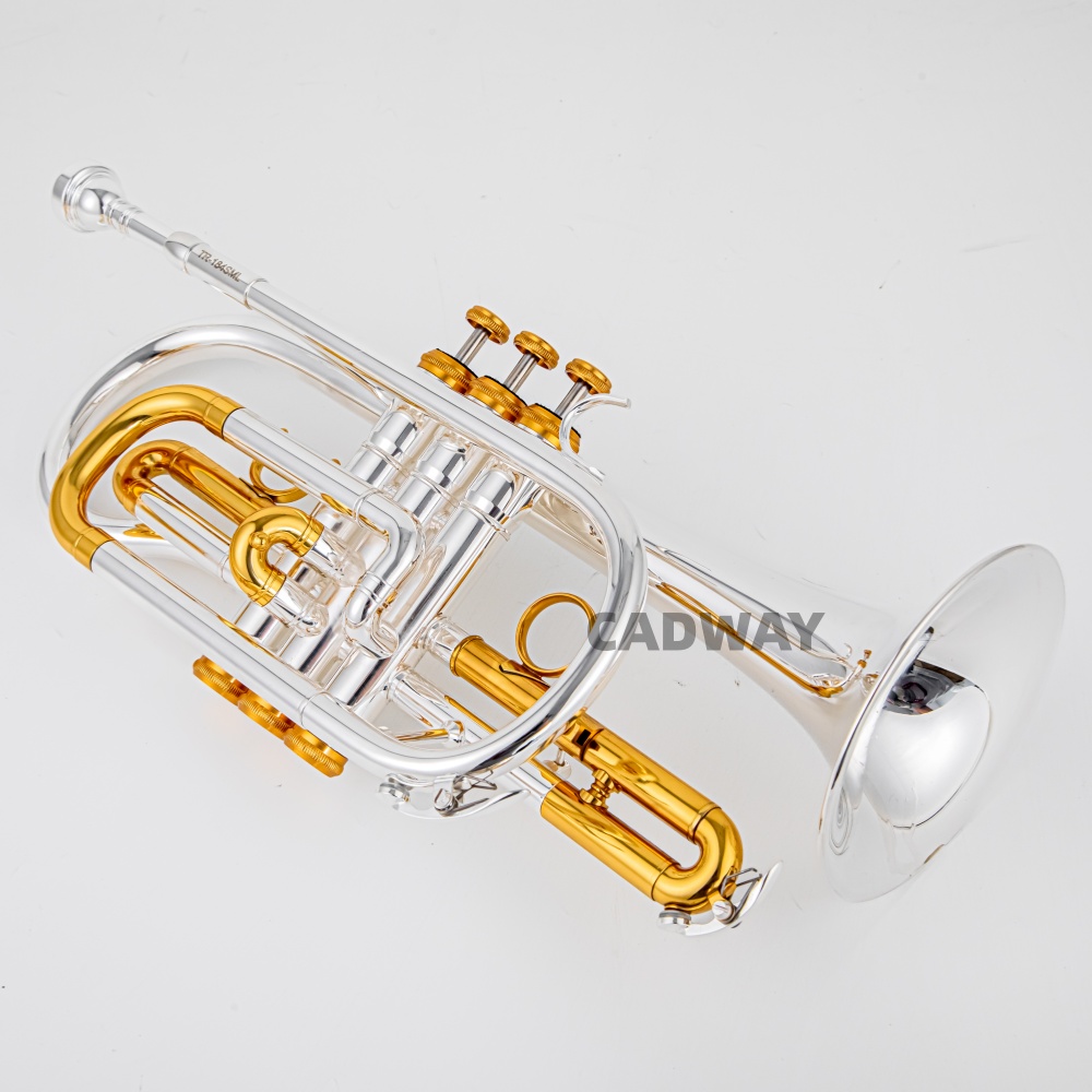 2026 High Grade BACH Silver Go - Musical Instrument Cornet 评论和价格