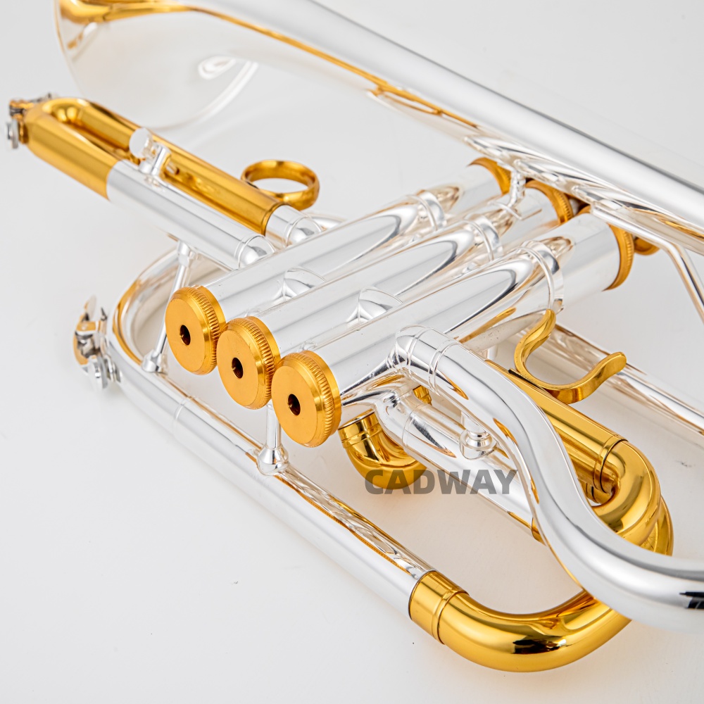 2026 High Grade BACH Silver Go - Musical Instrument Cornet 评论和价格