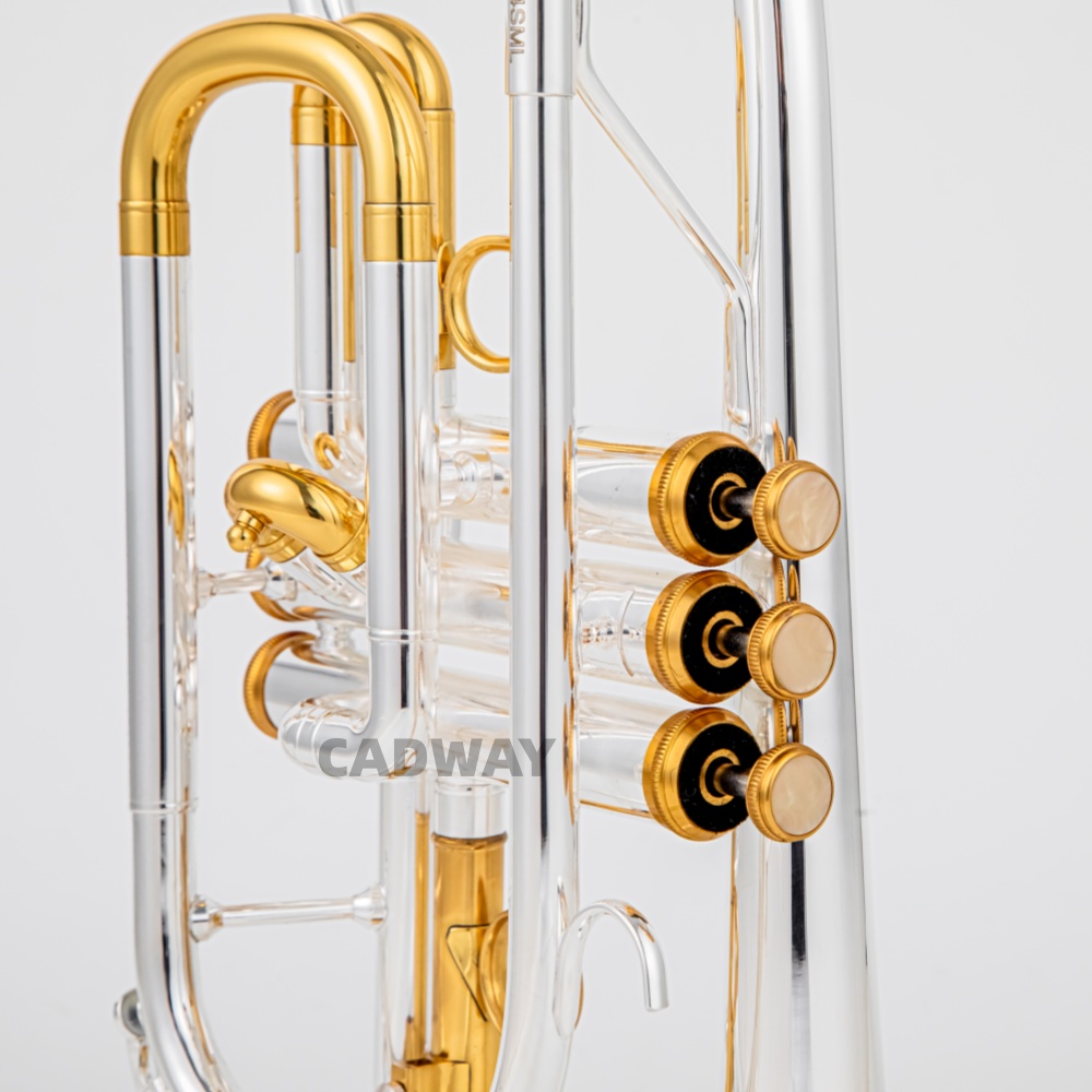 2026 High Grade BACH Silver Go - Musical Instrument Cornet 评论和价格