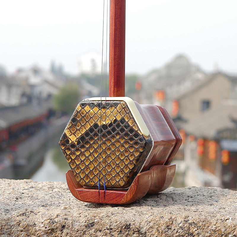 Professional Dunhuang Brand 06 - Musical Instrument Brands 评论和价格