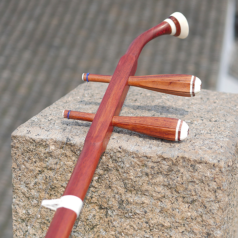 Professional Dunhuang Brand 06 - Musical Instrument Brands 评论和价格