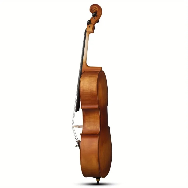4/4 Matte Natural Color BASSWO - Musical Instrument In Orchestra 评论和价格