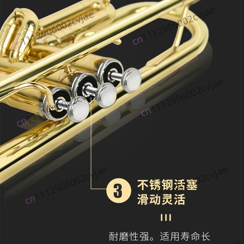 Suitable for Jinbao trumpet mu - Musical Instrument Drum 评论和价格