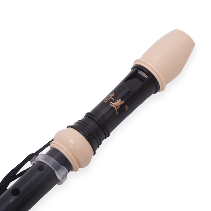 8 Hole Recorder High Pitch G/B - Musical Instrument Recorder 评论和价格