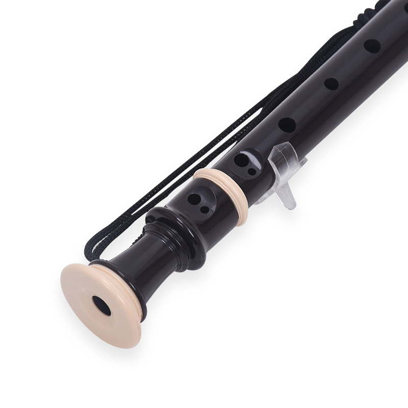 8 Hole Recorder High Pitch G/B - Musical Instrument Recorder 评论和价格