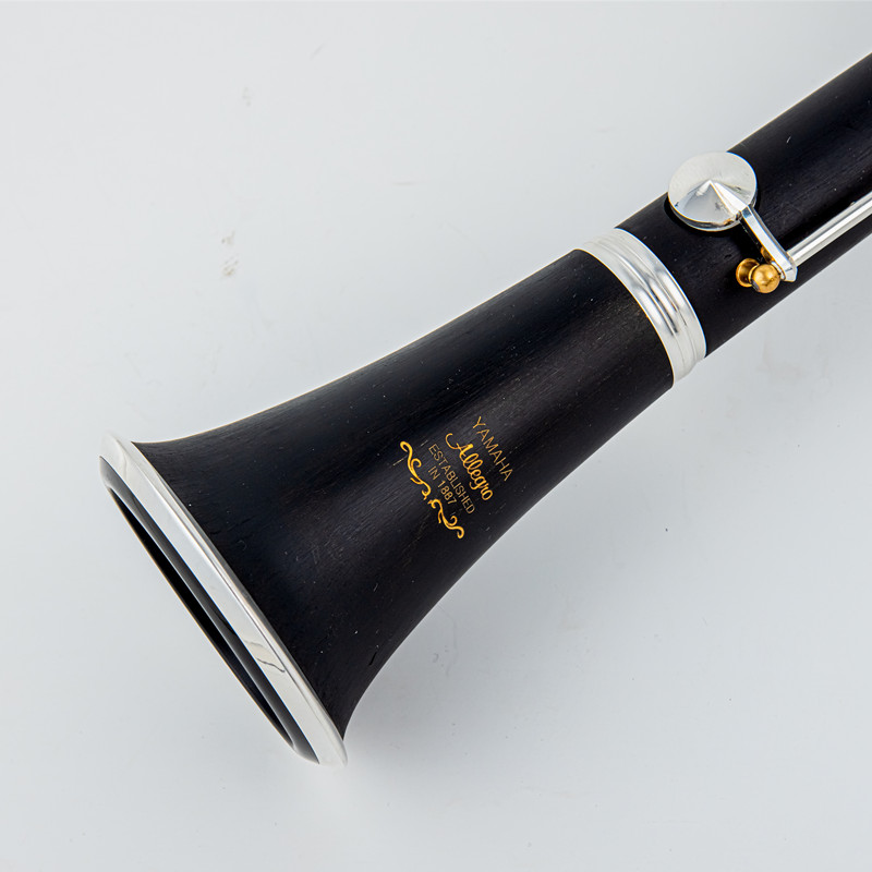 Japan Brand New Professional W - Musical Instrument Brands 评论和价格