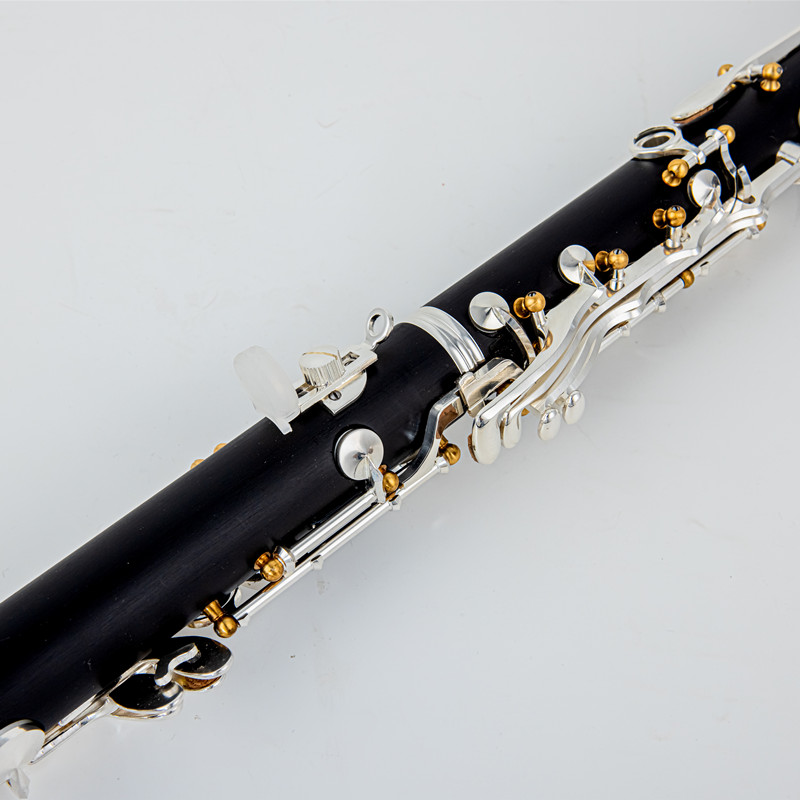 Japan Brand New Professional W - Musical Instrument Brands 评论和价格