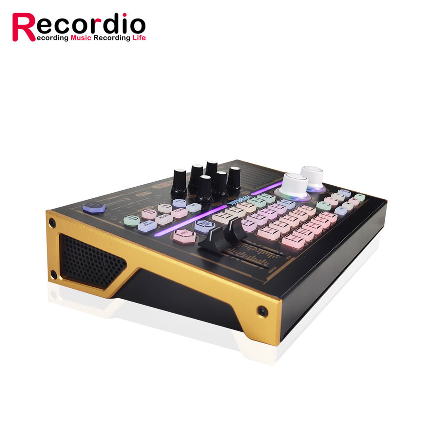 GAX-N8 Professional Recording  - Musical Instrument Recorder 评论和价格