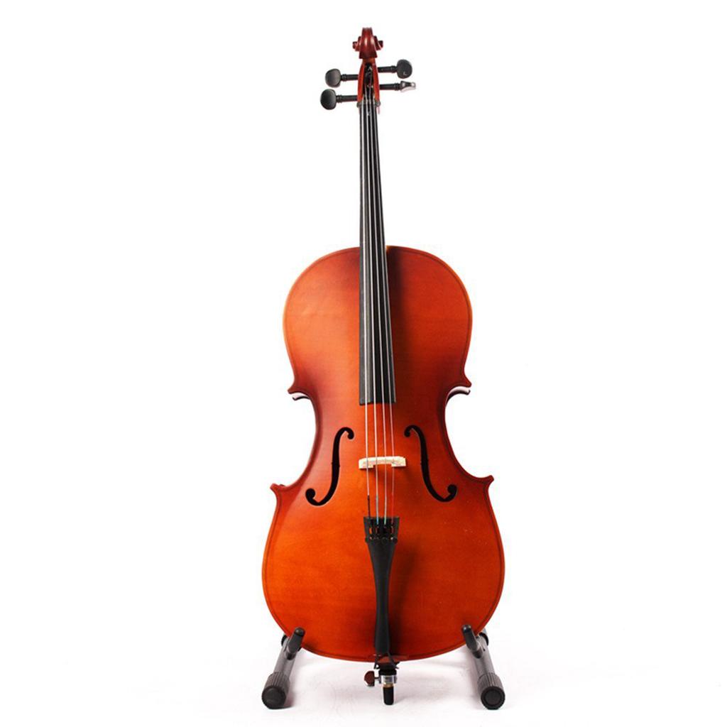 Musical Instrument Accessory C - Musical Instrument In Orchestra 评论和价格