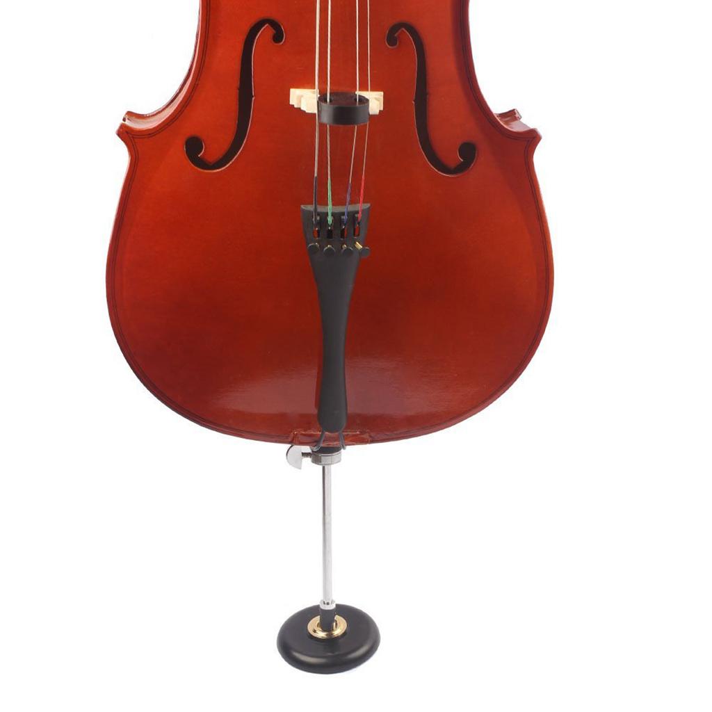 Musical Instrument Accessory C - Musical Instrument In Orchestra 评论和价格