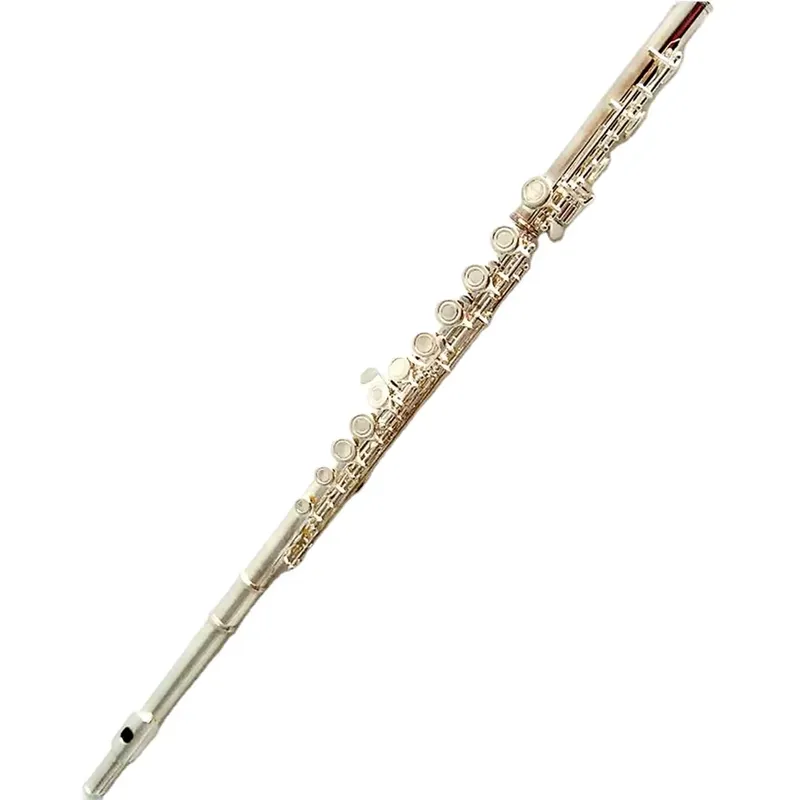 16 17 Hole Silver Plated Flute - Musical Instrument In Orchestra 评论和价格