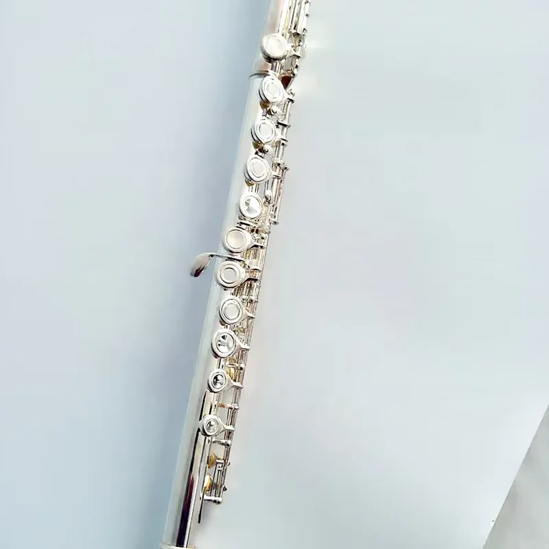 16 17 Hole Silver Plated Flute - Musical Instrument In Orchestra 评论和价格