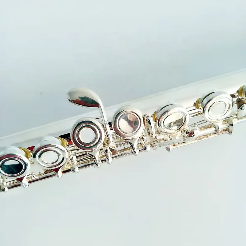 16 17 Hole Silver Plated Flute - Musical Instrument In Orchestra 评论和价格