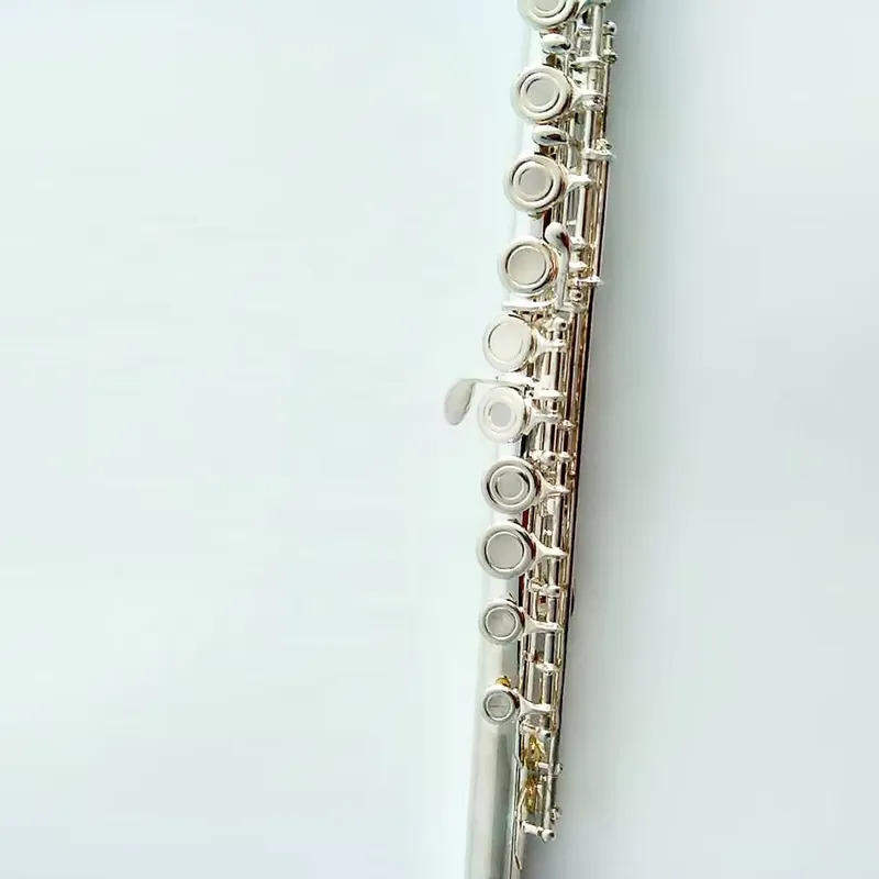 16 17 Hole Silver Plated Flute - Musical Instrument In Orchestra 评论和价格